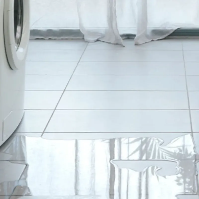 Appliance Leak Cleanup in Haughton, LA