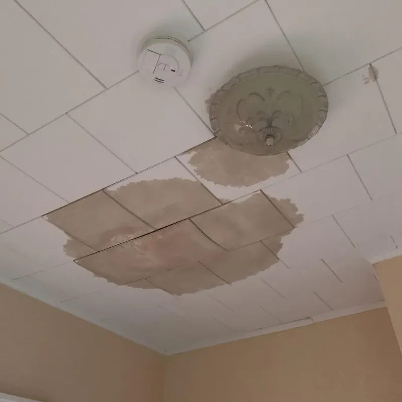 Ceiling Water Damage Repair in Haughton, LA